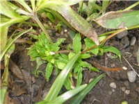 d4678f44-Picture 6761.jpg
